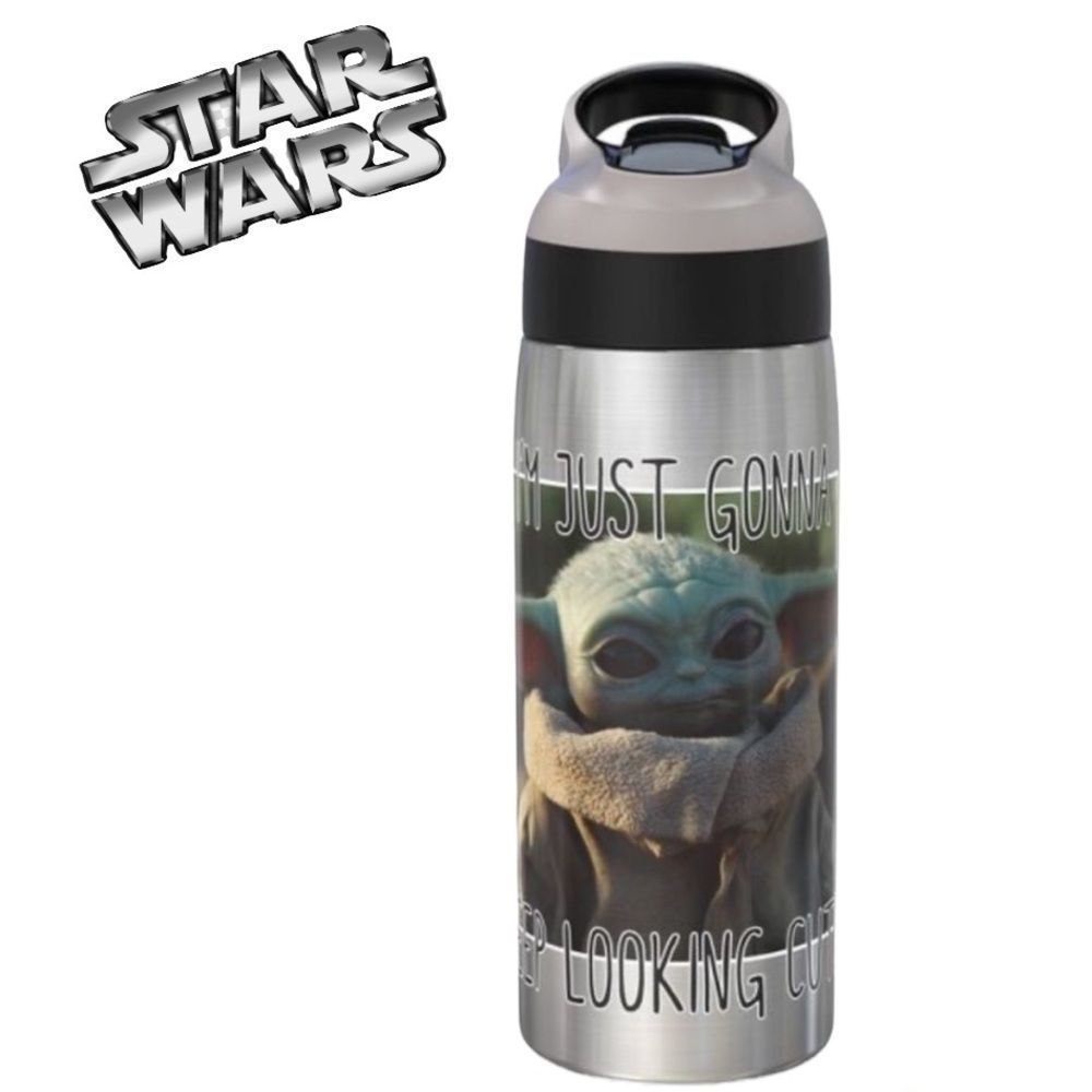 Zak Designs Star Wars The Mandalorian 19oz Stainless Steel Water Bottle